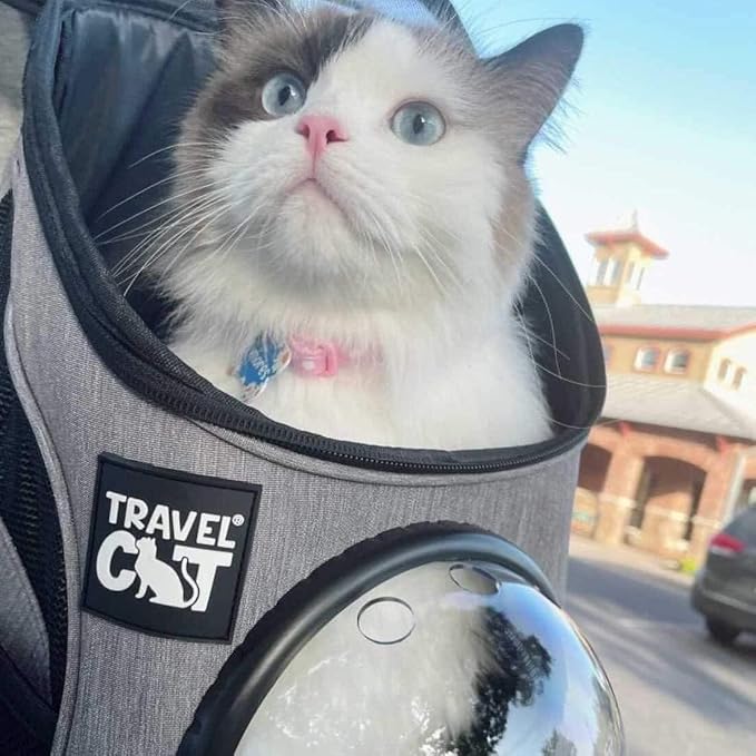 Fat Cat Backpack Carrier - Airline Approved Cat Carrier with Space Capsule Bubble for for Small Cats, Kitten - Premium Grey Heather Cat Carrier Backpack for Outdoor, Travel, Hiking, Pet Supplies