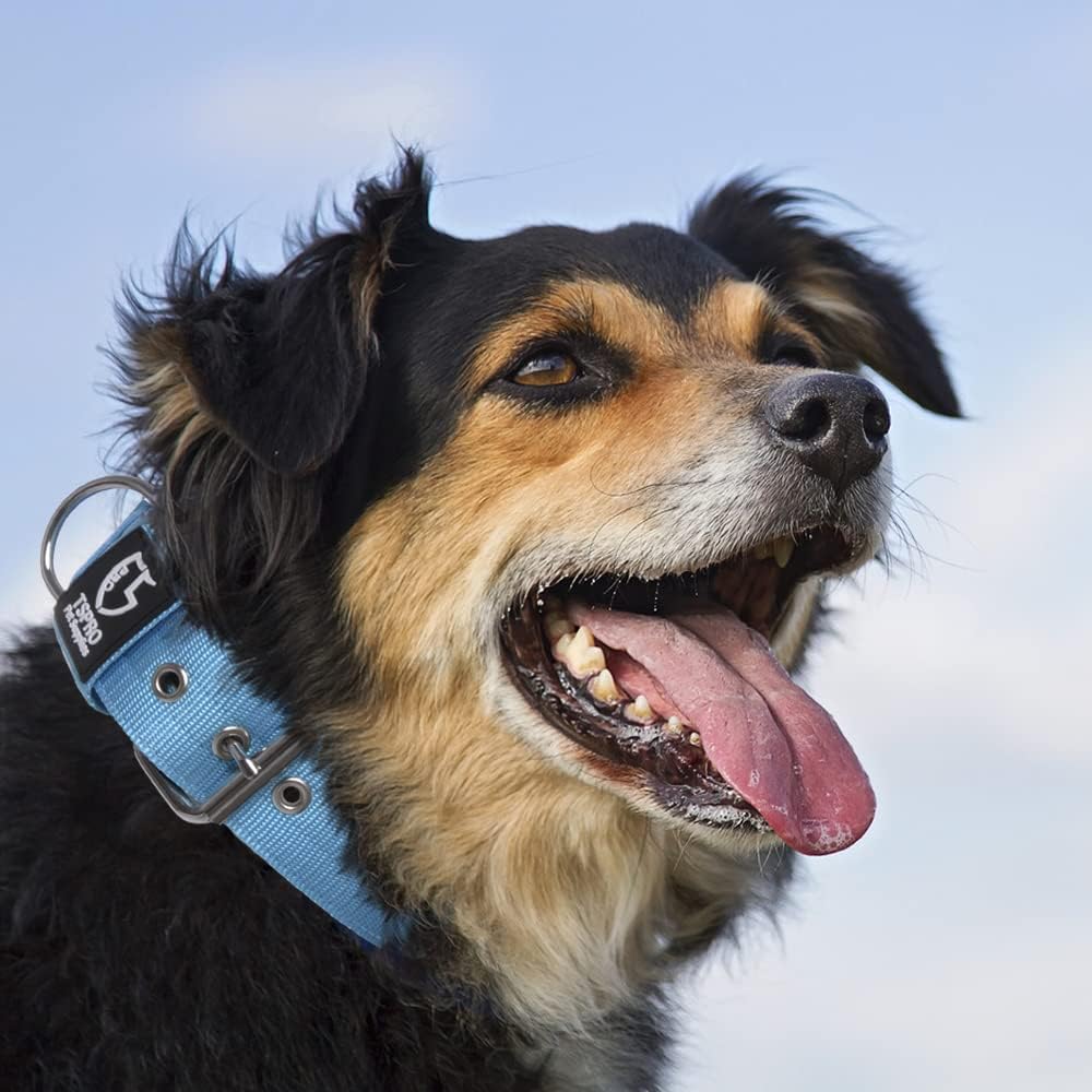 TSPRO Tactical Dog Collar 1.5 Inch Wide Thick Dog Collars with Heavy Duty Metal Buckle, Durable, Strong, Adjustable for Medium to Large Dogs (Blue M)