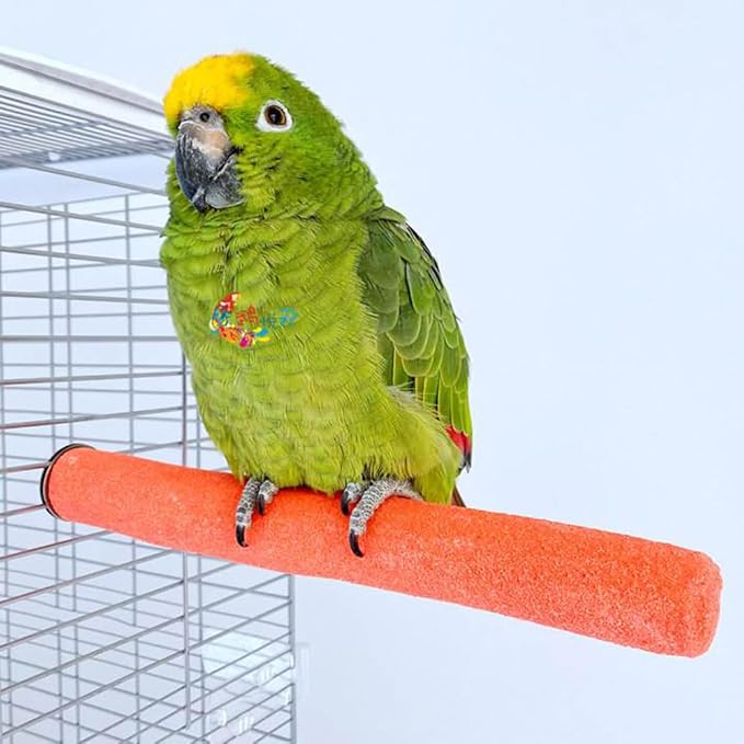 10 Pcs Parrot Perch Stand Bird Perch Stand Toy Colorful Paw Grinding Stick Cage Wooden Parakeet Perch Accessories for Cockatiels