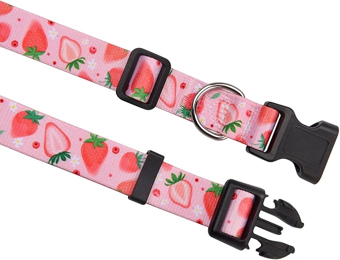 Dog Collar with Bohemia Floral Tribal Geometric Patterns - Soft Ethnic Style Collar Adjustable for Small Medium Large Dogs(Strawberry,XS)