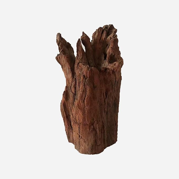 LYPHARD AQUARIUMS Natural Driftwood for Aquarium Decor, L8.66×W6.69×H15.75 Inches Large Drift Wood Decorations for Reptile Hide, Fish Tank, Optional Shapes