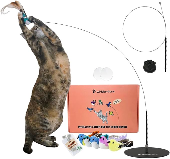 Whiskertons Interactive Bird Simulation Cat Toy Set, Interactive Cat Toys for Indoor Cats, Cat Feather Toy, Self-Holding Suction Cup, 5 Catnip Birds, Feathers, Bells (Catnip Hybrid Bundle)