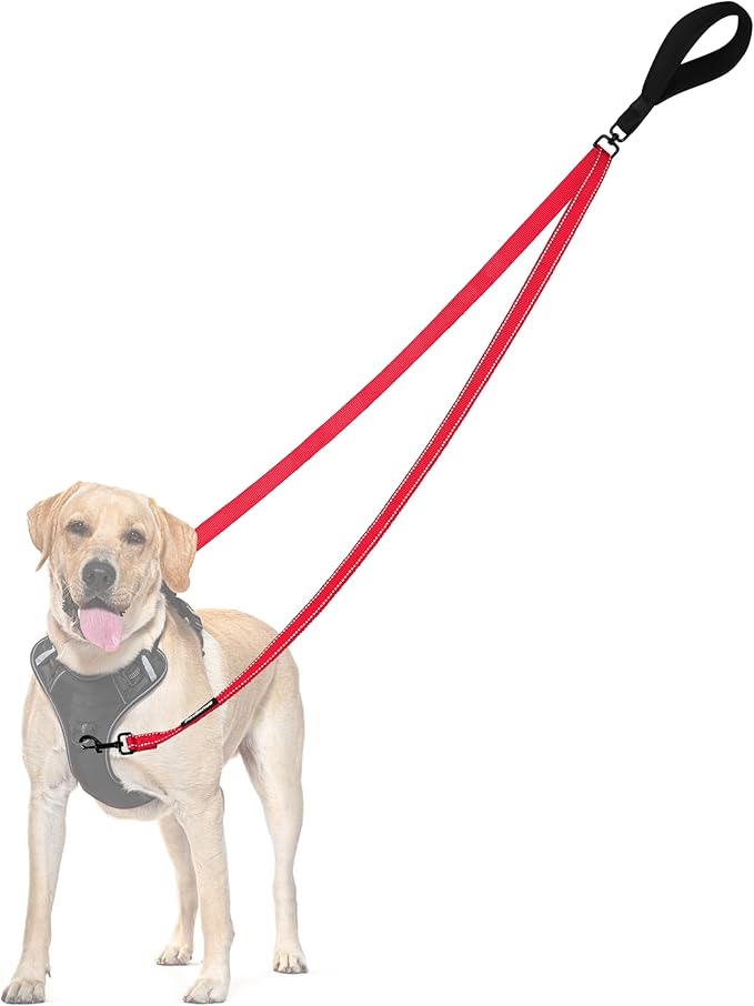 PetBonus Two Point Control Dog Leash, Works with No Pull Harnesses, No Tangle Training Leashes, Soft Padded and Reflective Walking Lead, Converts to Single Lead for Medium Large Dogs (Red)