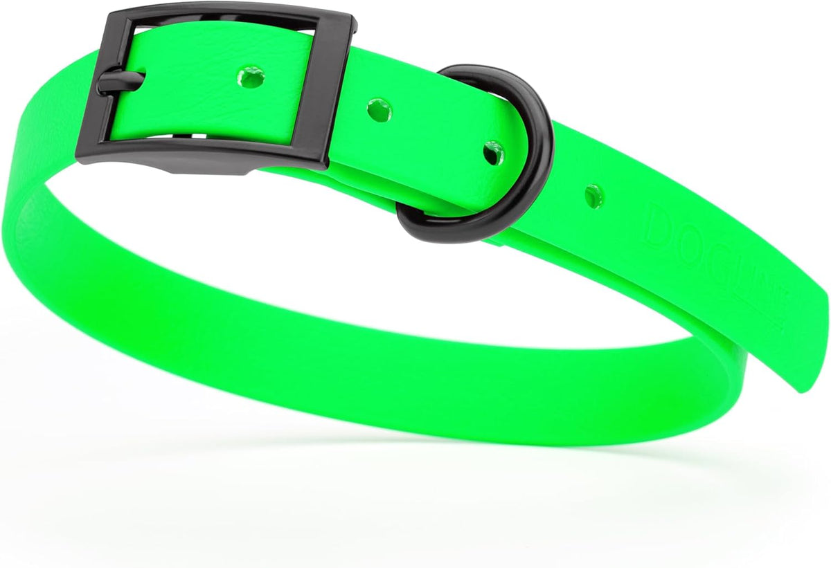 Dogline Biothane Waterproof Dog Collar Strong Coated Nylon Webbing with Black Hardware Odor- Proof for Easy Care Easy to Clean High Performance Fits Small Medium or Large Dogs, Tropical Green