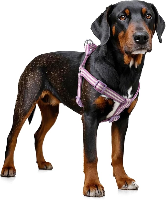 Stripe Step in Dog Harness for Small Dogs, Freedom Nylon Dog Halter Vests, Lightweight and Escape Proof Puppy Harness, Quick Fits for Small Medium and Large Dogs, Purple M