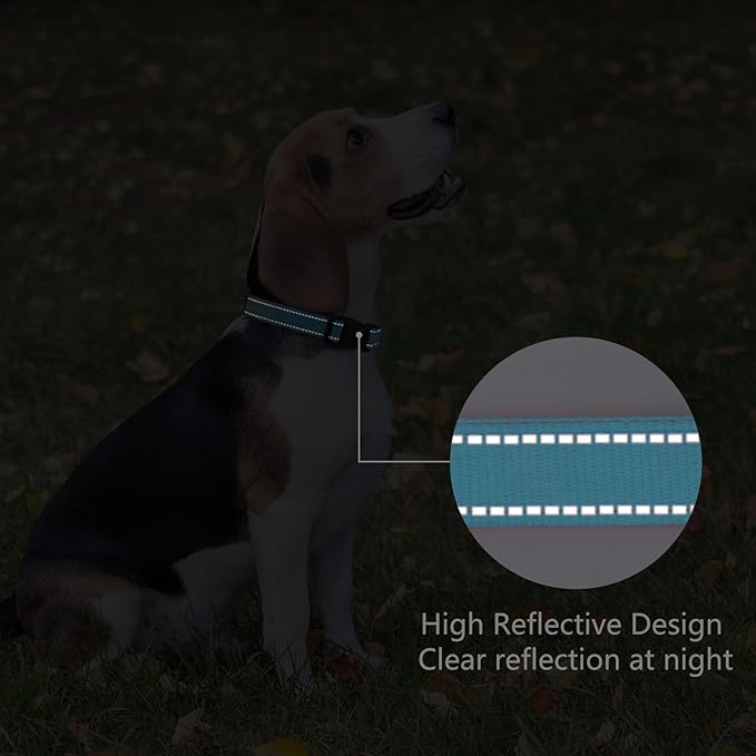 Reflective Dog Collar Padded with Soft Neoprene Breathable Quick Release Basic Dog Collars for Large Dogs Sky Blue Boy