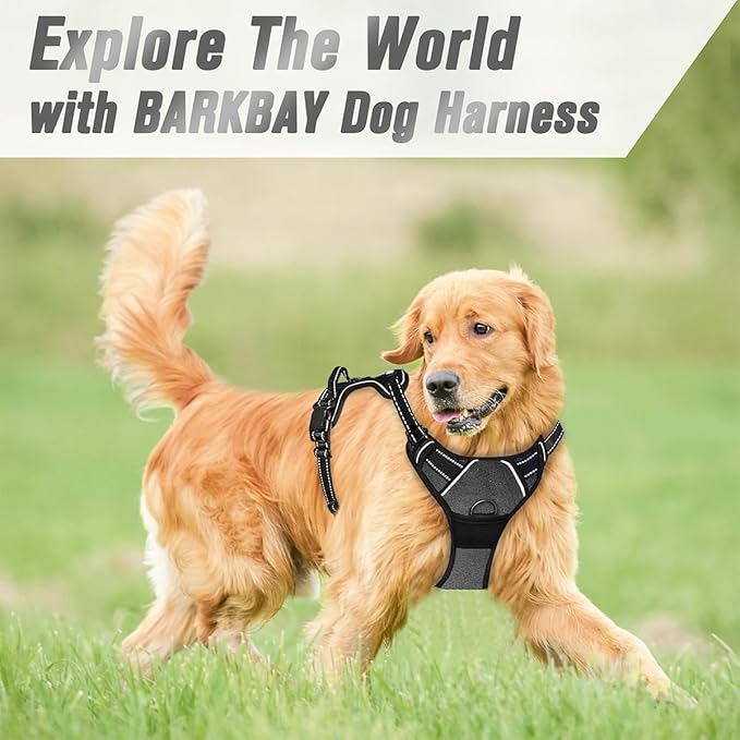 BARKBAY No Pull Dog Harness Front Clip Heavy Duty Reflective Easy Control Handle for Large Dog Walking(Dark Grey,S)