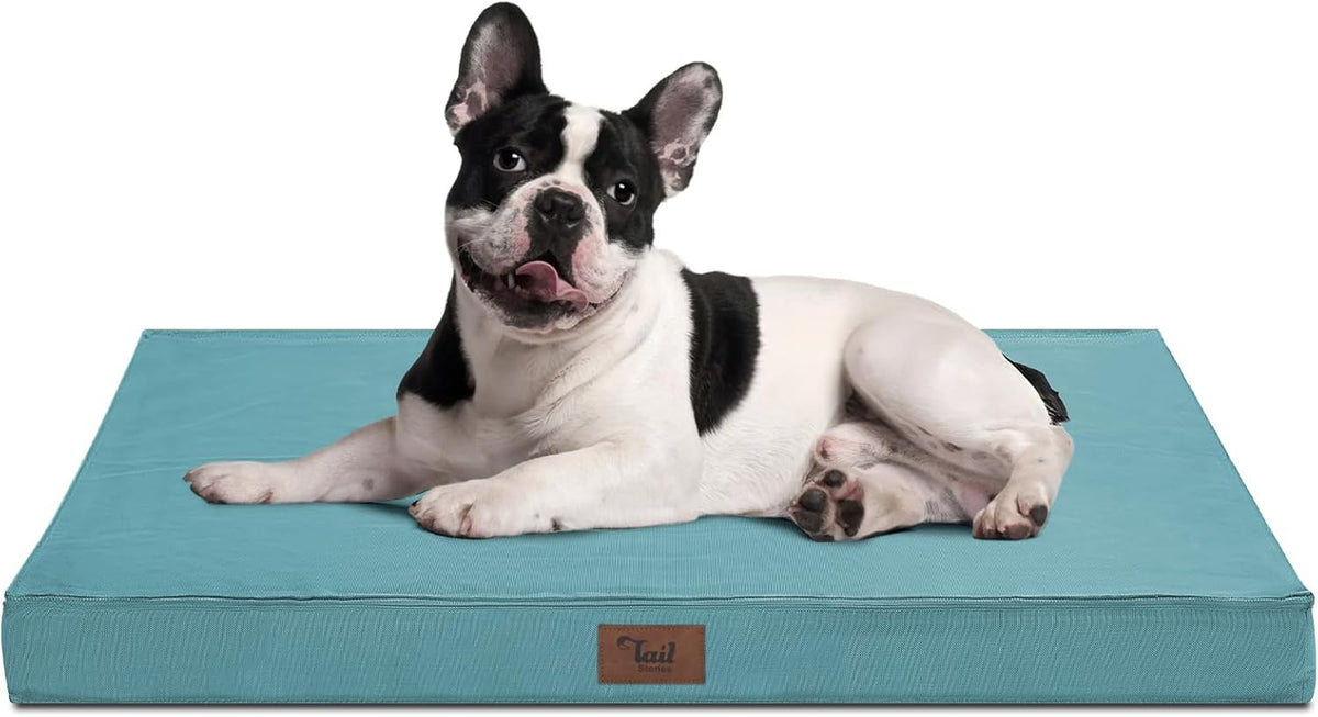 Outdoor Dog Bed for Medium Dogs, Waterproof Dog Bed for Medium Dogs Cats, Orthopedic Egg Crate Foam Pet Bed with Washable and Removable Oxford Cover, Light Blue