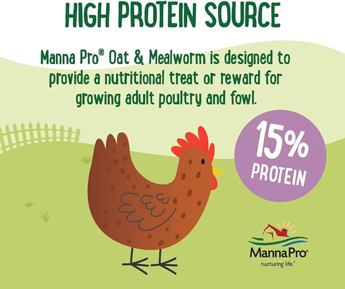Manna Pro Farmhouse Favorites Oat & Mealworm Mix Poultry Treat – Natural Protein Source – Encouraging Poultry Treat – Mix of Oats, Peanuts, Raisins, Mealworms, Sunflower Kernels – 2lbs