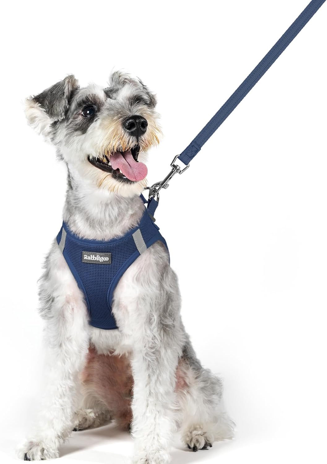 rabbitgoo Dog Harness Small Sized and Leash Set, Step in Soft Light Puppy Vest, Breathable Mesh Pet Harness, Reflective for Outdoor Safe Walking, Navy Blue XL