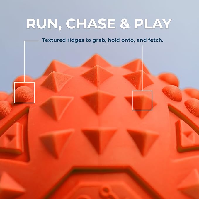 Best Pet Supplies Interactive Squeaky Dog Chew Toy, Ideal Dog Toys for Chewers, Small, Medium & Large Dogs, and Fetch Lovers - Spiky Ball (Blue, Orange), Medium 2.5"