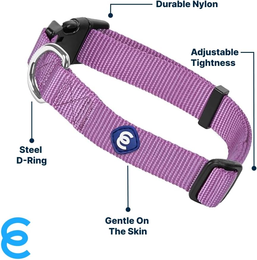 Blueberry Pet Essentials Matching Medium Dog Collar | Adjustable Classic Solid Color Nylon Dog Collars for Medium Dogs | Purple Dog Collar for Medium Dogs