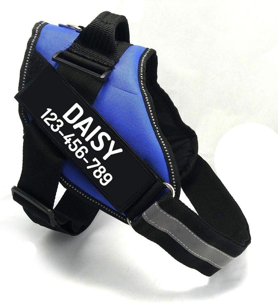 PawPawify Custom No Pull Dog Harness with Name and Phone Number, Heavy Duty Personalized Pet Vest to Prevent Tugging, Pulling, or Choking, Training and Walking (Blue, XS (5-9LBS))
