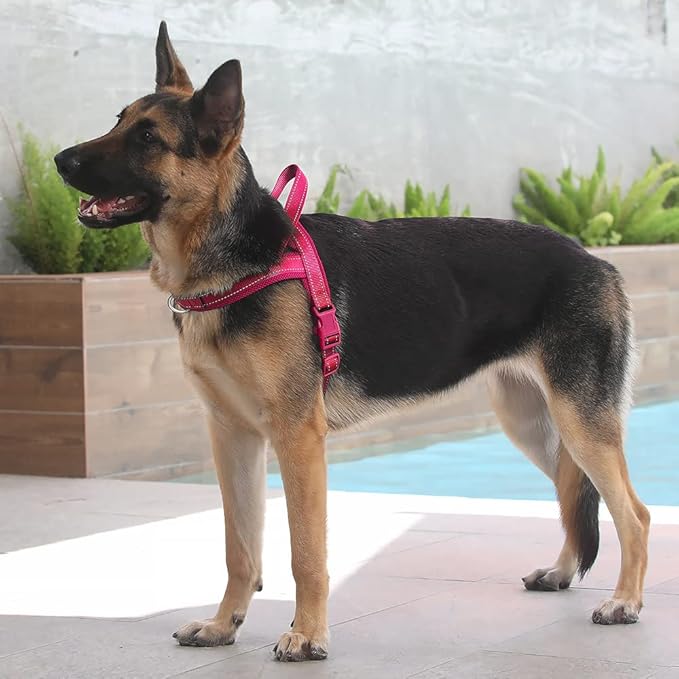 Plutus Pet No Pull Dog Harness with Breathable Mesh Padded, Adjustable Reflective Escape Proof Dog Harness, Quick Fit Dog Vest Harness for Small Medium Large Dogs(XL, Pink)