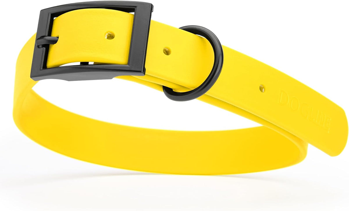 Dogline Biothane Waterproof Dog Collar Strong Coated Nylon Webbing with Black Hardware Odor- Proof for Easy Care Easy to Clean High Performance Fits Small Medium or Large Dogs, Lemon Yellow