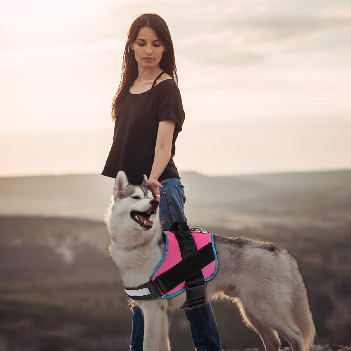 Bolux Dog Harness, No-Pull Reflective Dog Vest, Breathable Adjustable Pet Harness with Handle for Outdoor Walking - No More Pulling, Tugging or Choking Medium (Pack of 1) RoseTurquoise