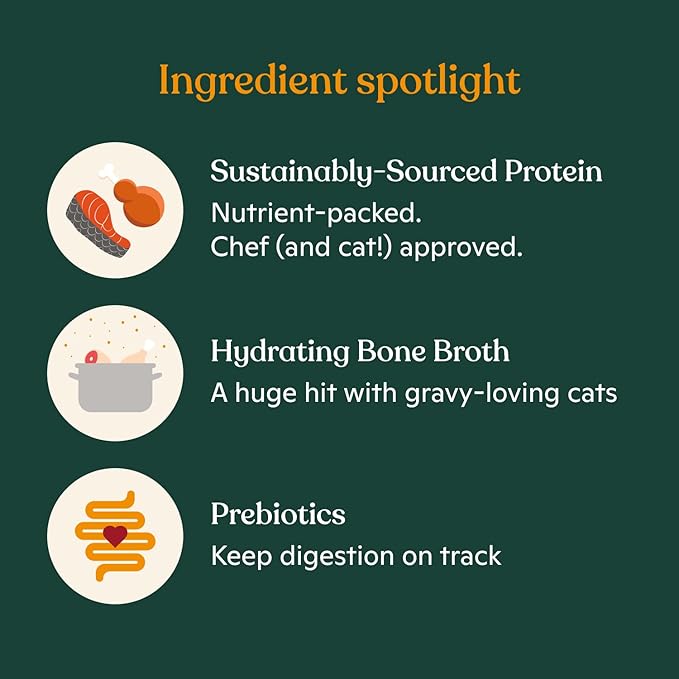Made by Nacho Minced Cage-Free Chicken and Salmon in Bone Broth Cups, Enriched with Vitamins and Prebiotics, Variety Pack, 10 Cups, 2.5 oz