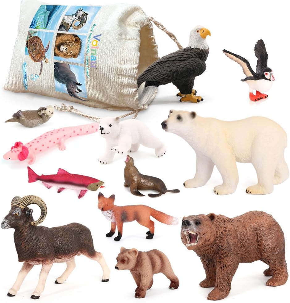 Volnau Safari Animal Figurines Toys 12PCS North America Figures Zoo Pack for Toddlers Kids Christmas Decoration Gift Preschool Educational Bald Eagle Bear Salmon Salamander Jungle Forest Cake Topper