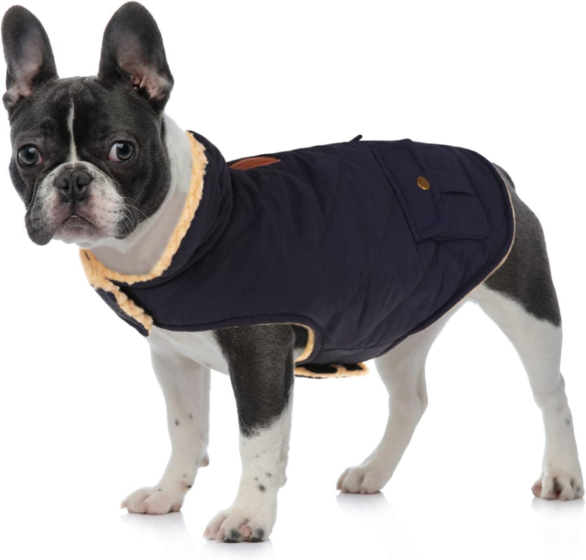 Queenmore Warm Puffer Dog Coat, Quilting Winter Jacket Ultra Thick Plush Lining with Storage Pockets (Dark Navy, Large)