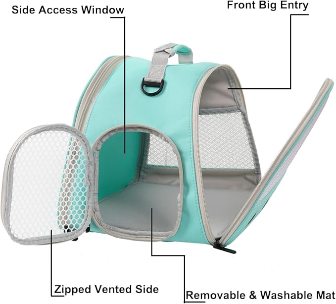 Guinea Pig Carrier,Guinea Pig Carrier for 2,Ventilation Carrier for Bearded Dragon,Reptile Travel Carrier for Lizards Sugar Glider Hedgehog Rat Parrot Birds,Airline Approved Green