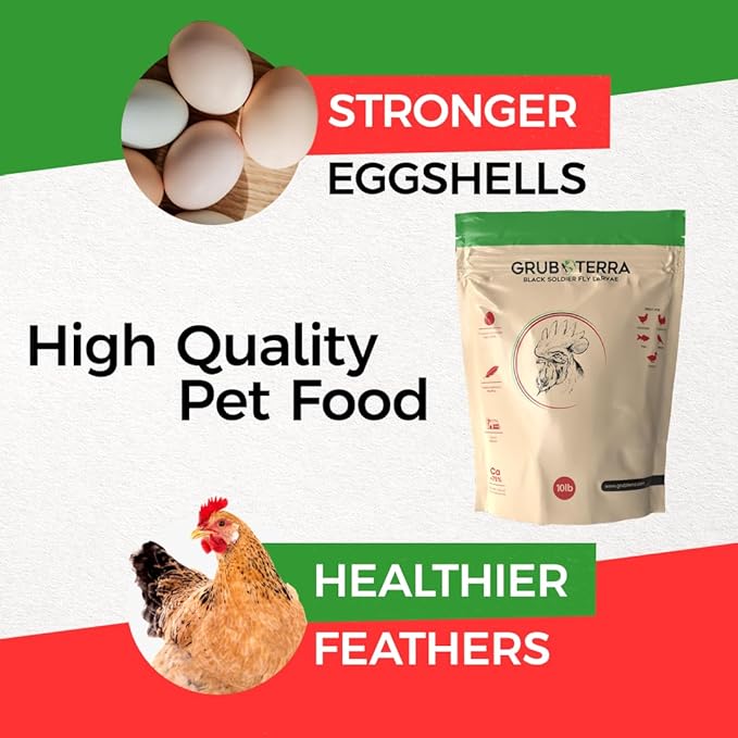 GrubTerra Golden Dried Black Soldier Fly Larvae - Premium Supplement to Increase Egg Production for Hen Treats, Bird Feed, Chicken Feeder, Pet Bird Food, and Wildbird Feed, Never from China! (1lb)
