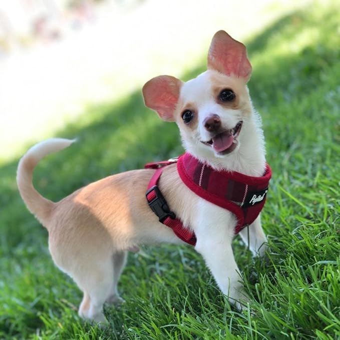 PUPTECK Soft Mesh Dog Harness and Leash Set Pet Puppy Cat Comfort Padded Vest No Pull Harnesses, Red, L