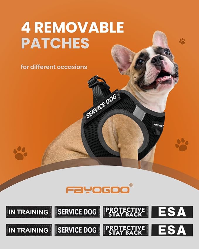 FAYOGOO Service Dog Vest for Small Breed - Lightweight Dog Harness with 6PCS Removable Patches - Puppy Harness and Leash Set for Walking,Training