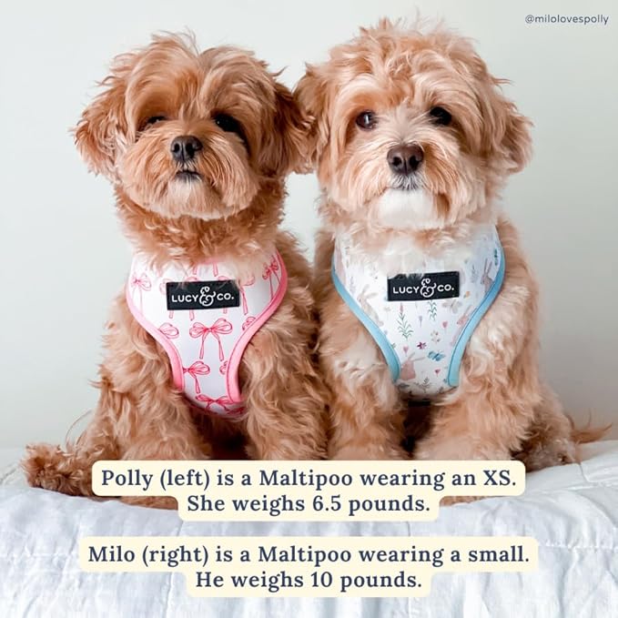 Lucy & Co. Cute Reversible Dog Harness Walking Halter - Best Designer Pet Harnesses for XS - XL Dogs - Padded Adjustable Vest for Easy Walking (X-Large, Ballet Bows - White & Pink Bows)