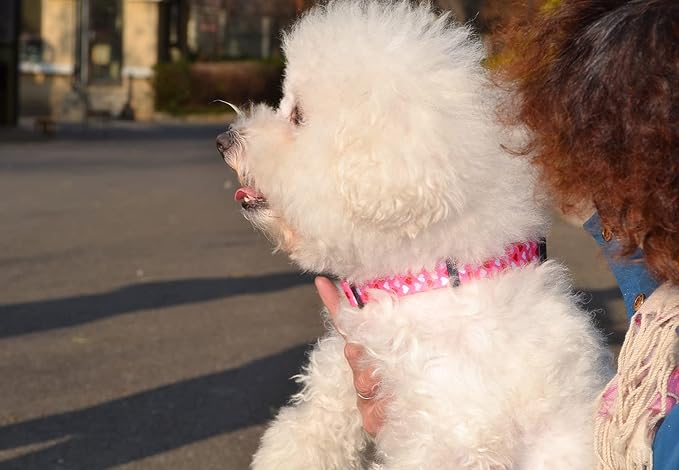 Dog Collar - Adjustable Heart Dog Collar - Love Theme - Perfect for Small Medium Large Dogs(Pink Heart,S)