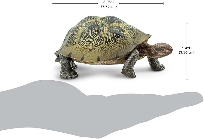 Safari Ltd. Desert Tortoise Figurine - Lifelike 3.25" Wildlife Figure - Educational Toy for Boys, Girls, and Kids Ages 3+