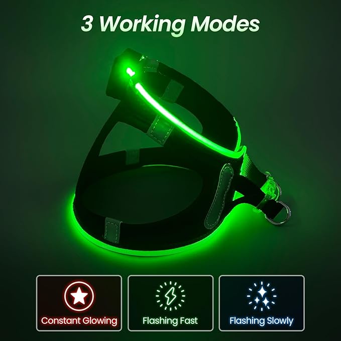 PceoTllar Light Up Dog Harness, LED No Pull Reflective Dog Harness, Flashing Lighted for Night Walking - Small/Medium, (Black Green,m)