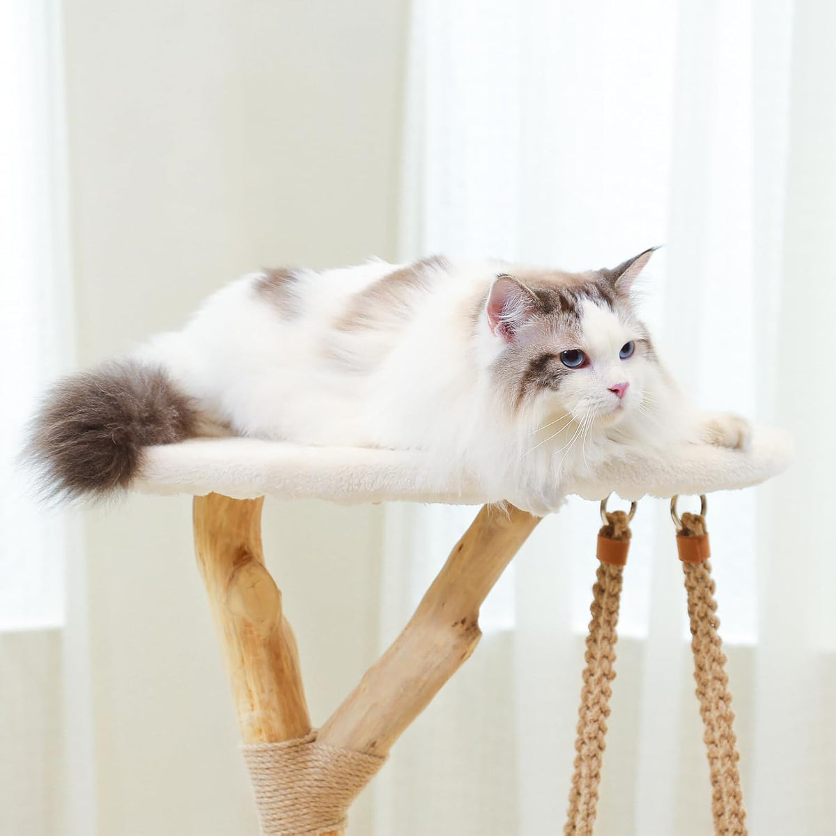 50" Tall Cat Tree Tower, Modern Cat Tree for Indoor Cats, Washable Wooden Perchs and Climbers for Large Cats, Cute Cat Furniture with Unique Cat Swing