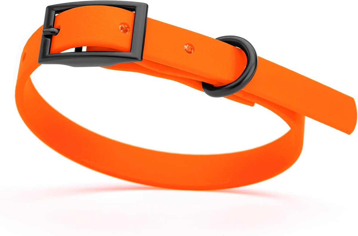 Dogline Biothane Waterproof Dog Collar Strong Coated Nylon Webbing with Black Hardware Odor- Proof for Easy Care Easy to Clean High Performance Fits Small Medium or Large Dogs, Hunter Orange