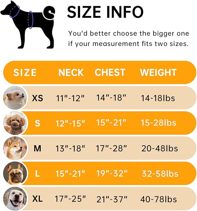 IVY&LANE No Pull Dog Harness for Medium Dogs, Dog Vest Harness with Leash, Safety Belt and Storage Strap, Fully Adjustable Harness, 360° Reflective Strip, Soft Handle (Orange, M)