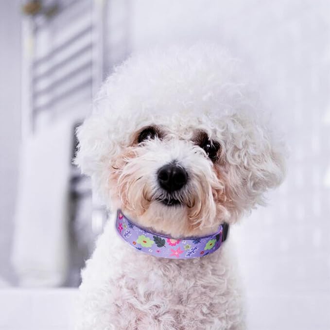 QQPETS Adjustable Soft Dog Collar: Print Flower Pink Multicolor Cute Patterns for XS Small Medium Large Pet Girl Boy Puppy Walking Running Training