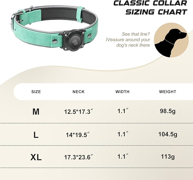 AirTag Dog Collar - Leather Dog Collar with Air Tag Holder | IPX8 Waterproof, Reflective, High - End, Adjustable Soft Padded | Dog GPS Tracker Collars Fit for Medium Large Dogs (Teal, M)