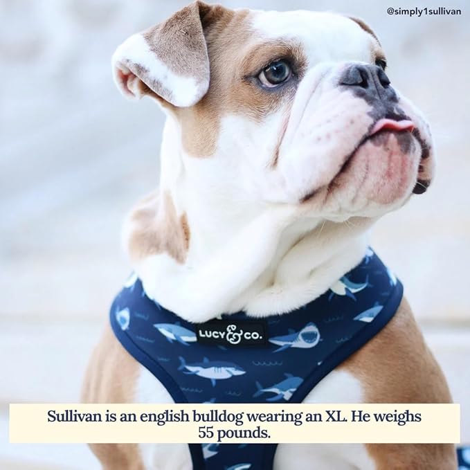 Lucy & Co. Reversible Dog Harness Walking Halter - Harnesses for Small Medium Large XL Dogs - Padded Adjustable - for German Shepherd Pug French Bulldog English Bulldog