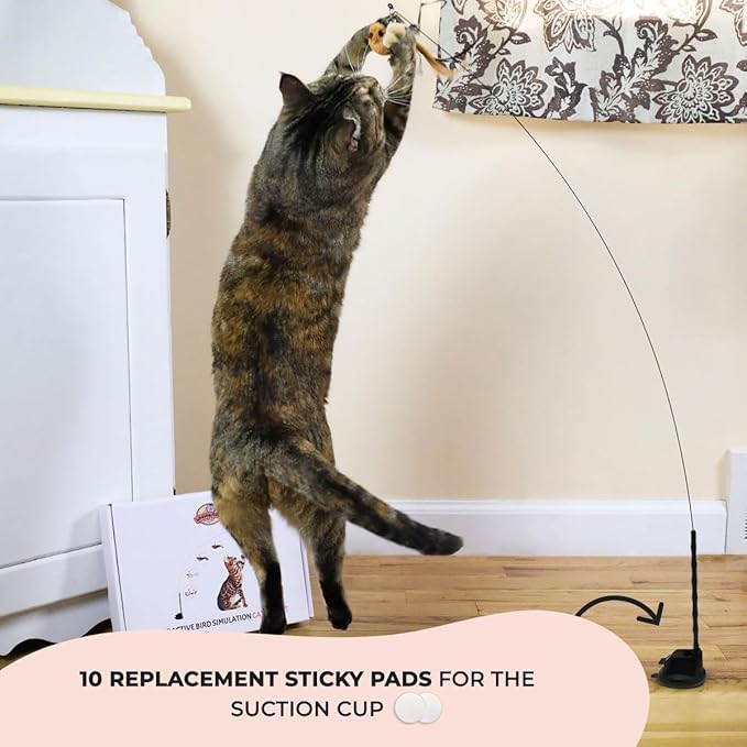 Whiskertons Interactive Bird Simulation Cat Toy Set, Interactive Cat Toys for Indoor Cats, Cat Feather Toy, Self-Holding Suction Base, 5 Replacement Birds (10 Replacement Sticky Pads)