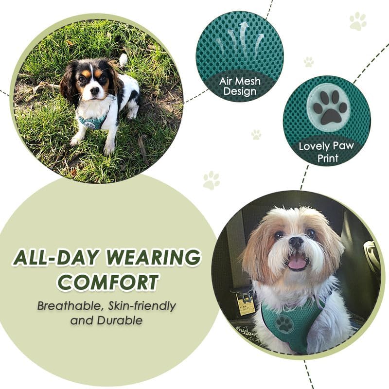 SlowTon Dog Seat Belt Harness for Car, Dog Car Harness Adjustable Mesh Breathable & Dog Seatbelt Safety Tether with Elastic Bungee for Small Medium Large Pets(Green, Double Clip, S)