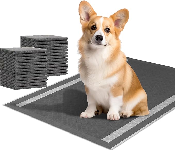 Dog and Puppy Pee Pads 100 Count, 23'' x 30'' Charcoal Odor-Control Puppy Pads with Leak-Proof Quick-Dry Design, Pet Training Pads for Potty Training Strong Absorbency