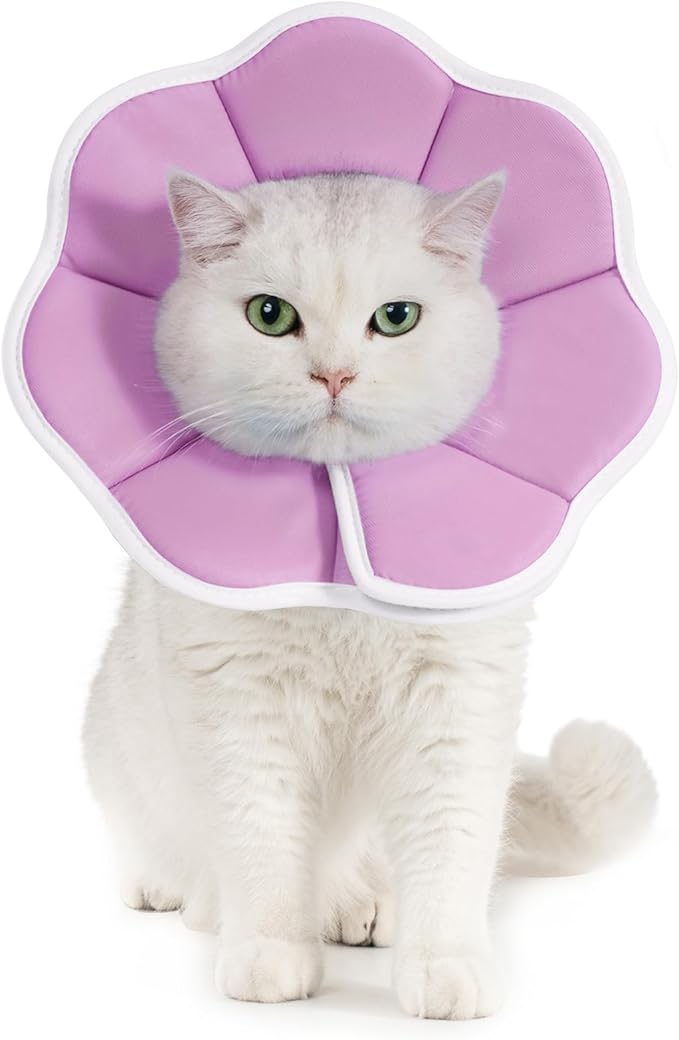 Avont Soft Cat Recovery Cone Collar, Adjustable Lightweight Kitten E-Collar for Small Dogs, Comfortable Neck Donut Stop Licking Scratching After Surgery -Purple(XS)