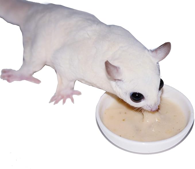 Honey & Fruit Instant-HPW (8 oz.) - All Natural Vitamin Enriched Sugar Glider Food - Healthy & Nutritious - High Protein Wombaroo - Staple Diet