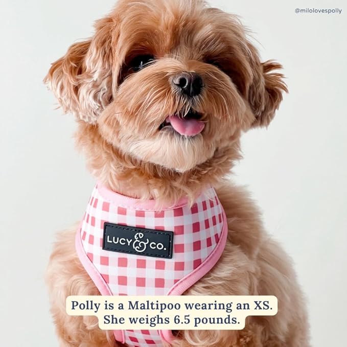Lucy & Co. Cute Reversible Dog Harness Walking Halter - Best Designer Pet Harnesses for XS - XL Dogs - Padded Adjustable Vest for Easy Walking (X-Large, Ballet Bows - White & Pink Bows)