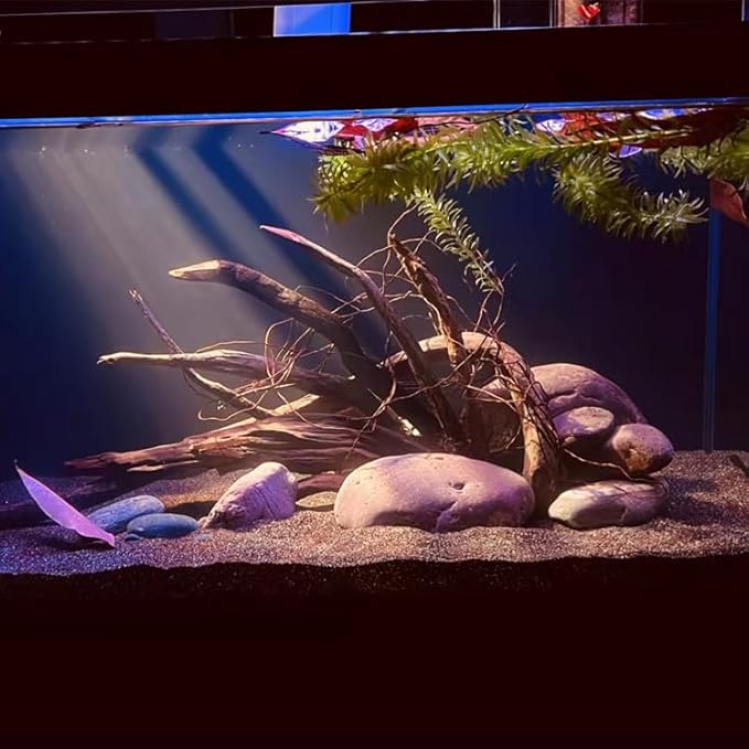 Aquarium Driftwood Centerpiece Aquarium Landscape, Handcrafted Fish Tank hardscape Landscape (Thorn Forest)