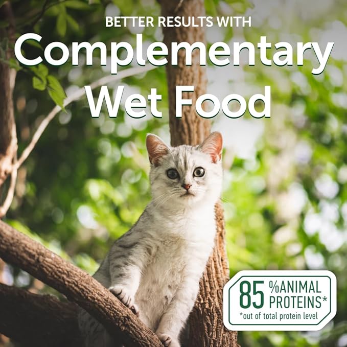 Nature's Protection Wet Cat Food in Gravy - High Protein, Natural & Soft Tuna Fish Shreds for Sterilized Adult Cats - Can-Free Convenient Pouches 2.46-oz (Superior Care - 24 Pack)