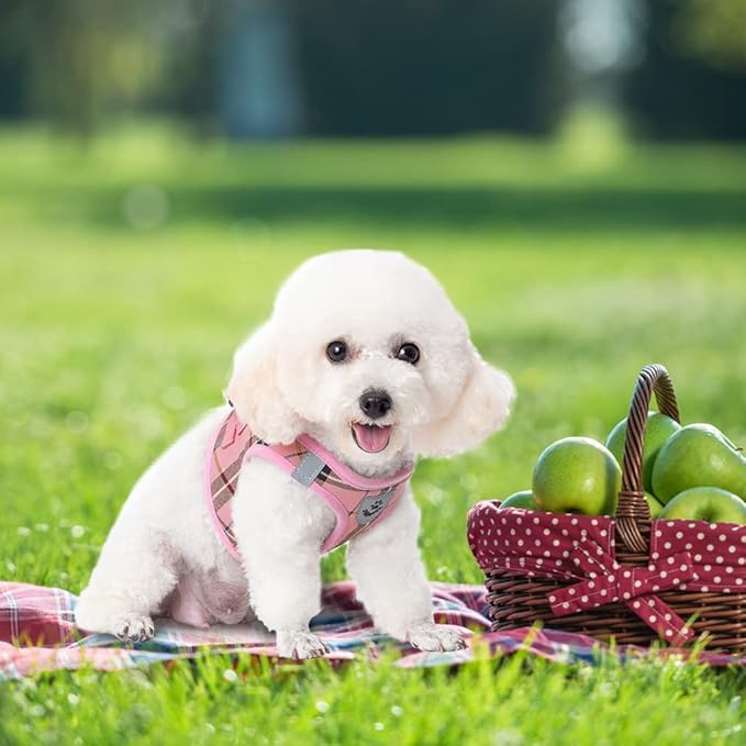 EXPAWLORER Classic Plaid Puppy Harness - Small Dog Harness and Leash Set - Dog Collar and Leash Set with AirTag Holder, Soft Padded Step in Dog Vest Harness No Pull Reflective for Outdoor, Pink S