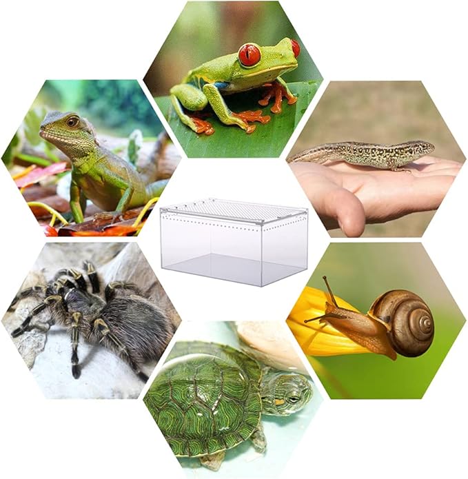 NANEEZOO Magnetic Acrylic Large Enclosure 2.5 Gallon 12 x 8 x 6 Inch Reptile Breeding Box Terrarium Cage for Insect Tarantulas Amphibians Caterpillars Snail Clear Acrylic Reptile Feeding Box