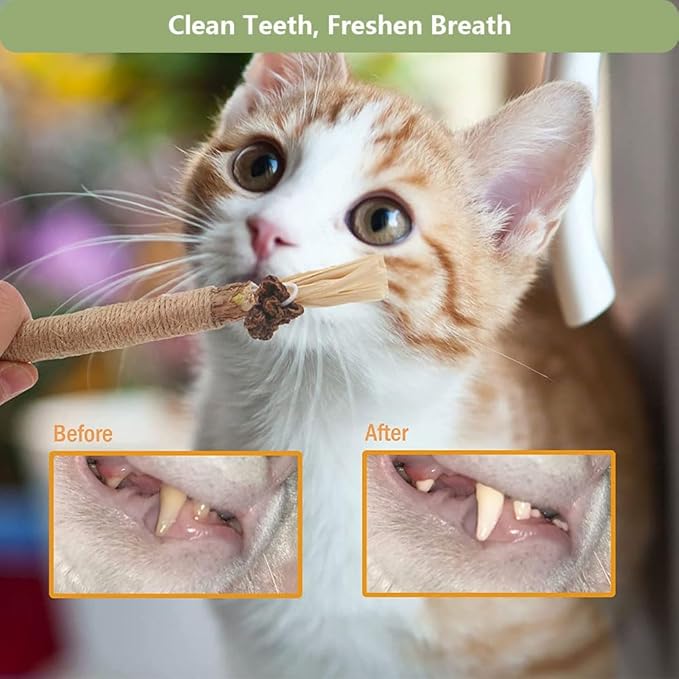 6 PCS Silvervine Sticks for Cats - Natural Cat Chew Toys for Teeth Cleaning, Kitten Teething & Aggressive Chewers
