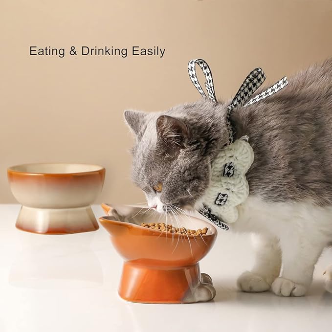 Nihow Elevated Cat/Dog Bowls Set : 5 Inch Ceramic Raised Cat Food & Water Bowl Set for Protecting Pet's Spine - Feeding & Watering Supplies for Pets - Elegant Brown (2 PC)
