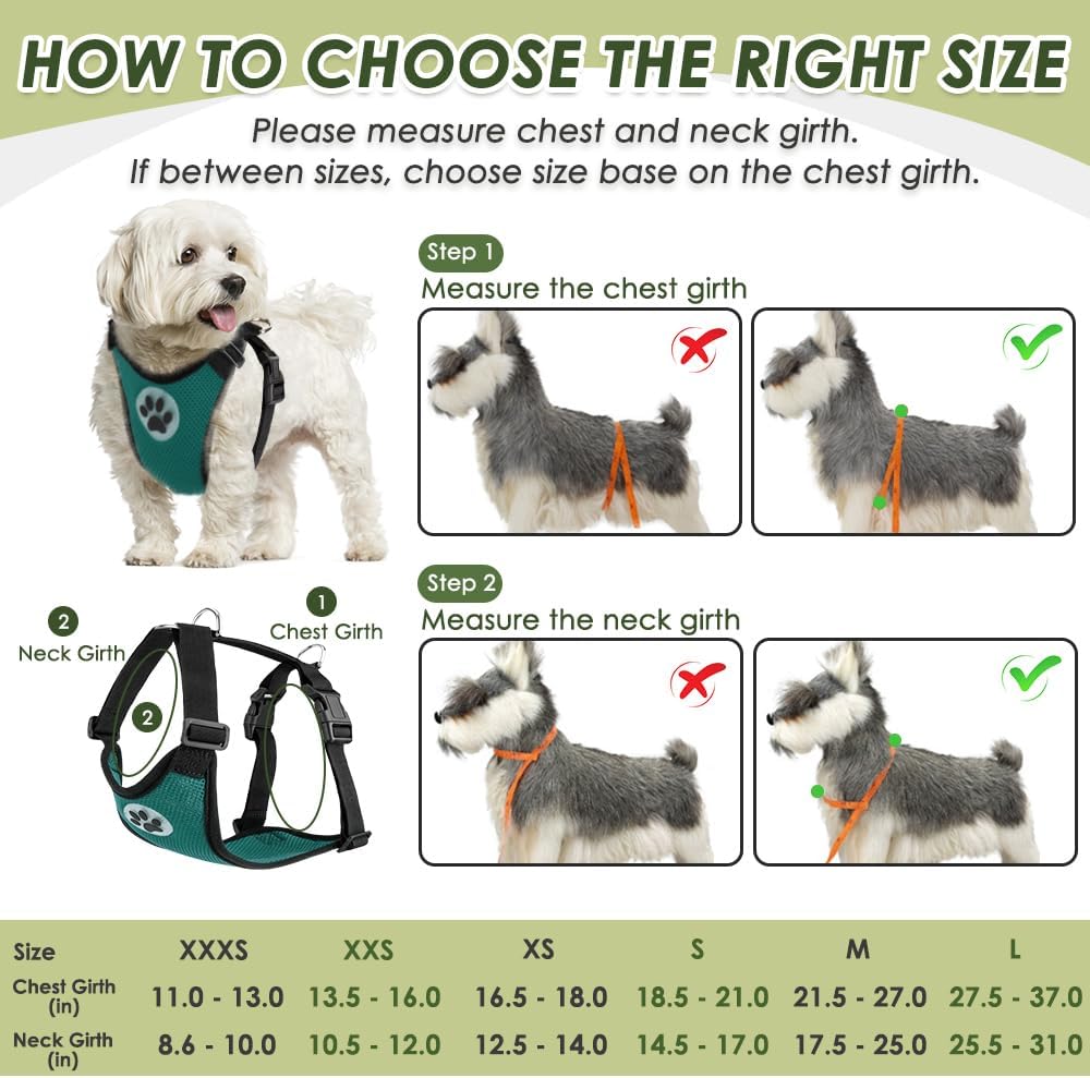 SlowTon Dog Seat Belt Harness for Car, Dog Car Harness Adjustable Mesh Breathable & Dog Seatbelt Safety Tether with Elastic Bungee for Small Medium Large Pets(Green, Double Clip, S)